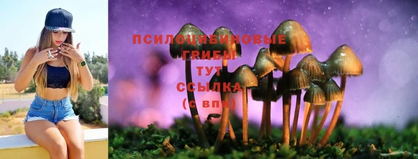 ГАЛЛЮЦИНОГЕННЫЕ ГРИБЫ Алексин