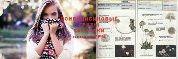 не бодяженный Алзамай