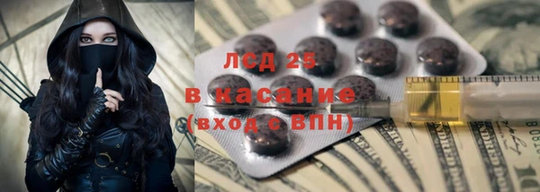 ГАЛЛЮЦИНОГЕННЫЕ ГРИБЫ Алексин