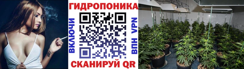 blacksprut как войти Грязи Шишки марихуана тримм